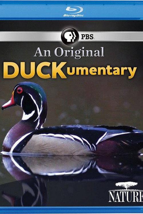 PBS Nature - An Original DUCKumentary 2012 official movie poster