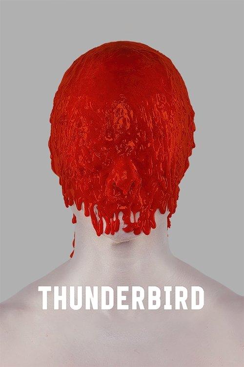 Thunderbird 2019 official movie poster