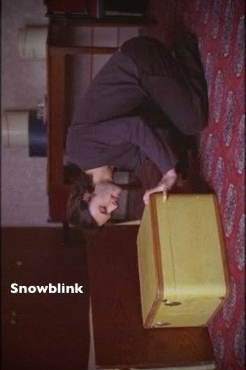 Snowblink 2004 official movie poster