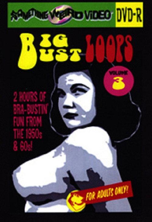 Big Bust Loops Volume 3 2009 official movie poster