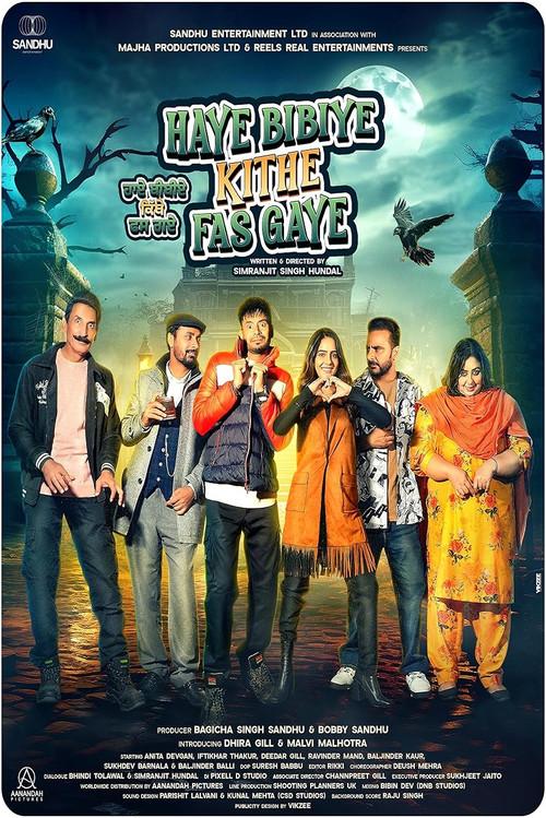 Haye Bibiye Kithe Fas Gaye 2024 official movie poster