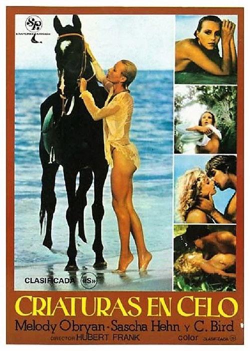 Melody in Love 1978 official movie poster