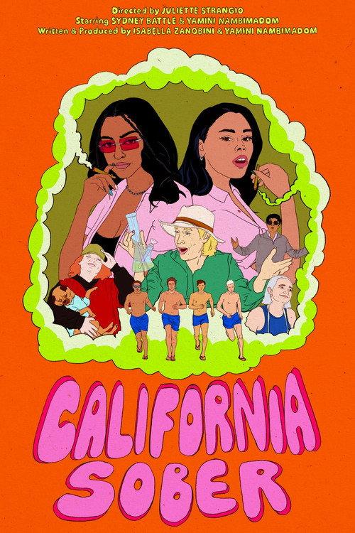 California Sober official movie poster