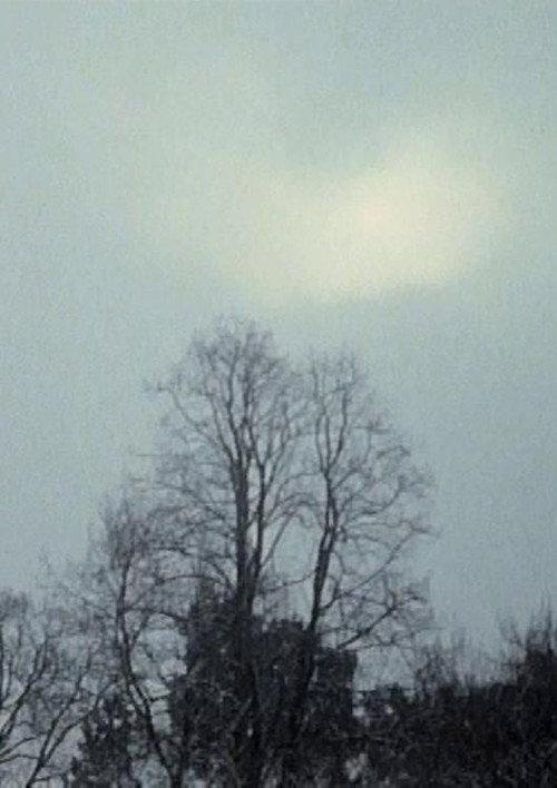 Hanging Upside Down in the Branches 2009 official movie poster