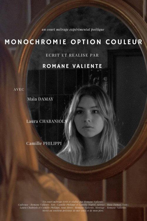 Monochromie Option Couleur 2024 official movie poster