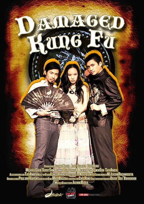 Damaged Kung Fu 2011 official movie poster