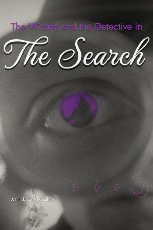 The Wizard and the Detective in the Search  official movie poster