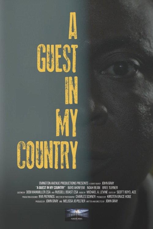 A Guest in My Country 2024 official movie poster