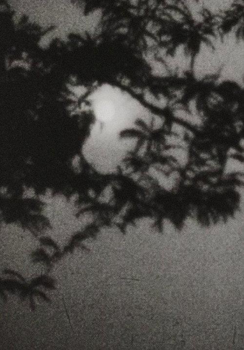 Moonplay 1962 official movie poster