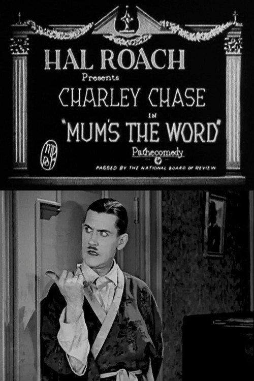 Mum's the Word 1926 official movie poster