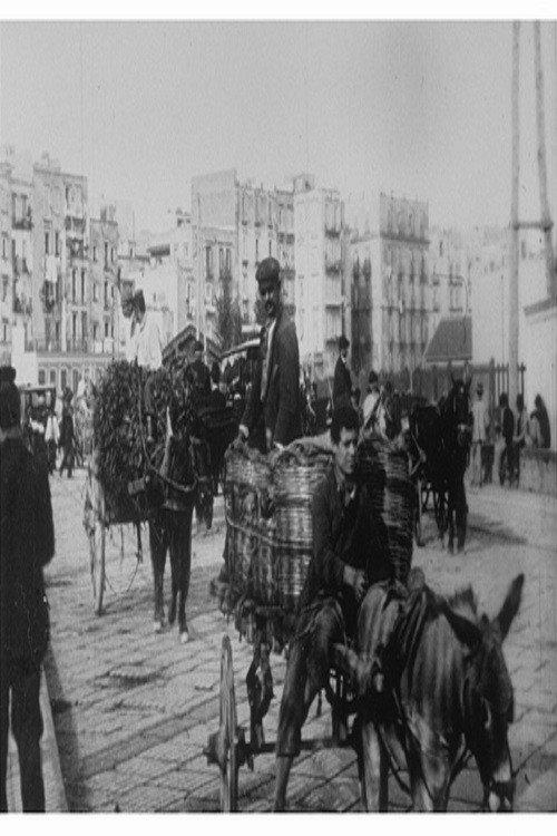Via Marina 1897 official movie poster