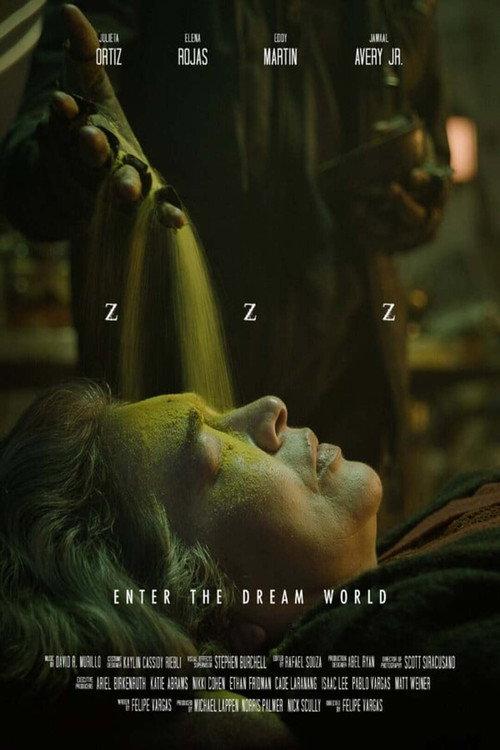 ZZZ 2024 official movie poster