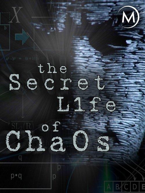 The Secret Life of Chaos 2010 official movie poster
