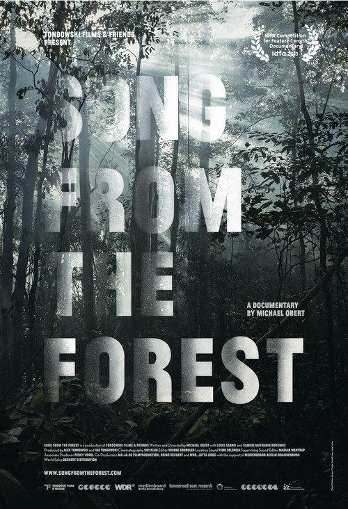 Song from the Forest 2014 official movie poster