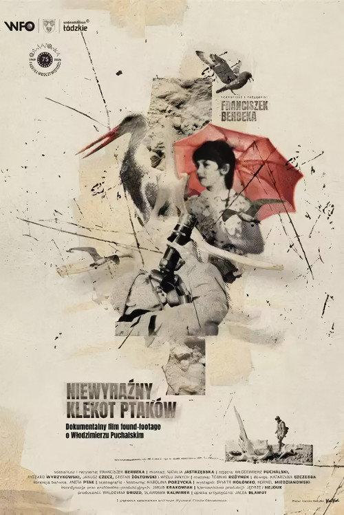 The Faint Clatter of Birds 2024 official movie poster