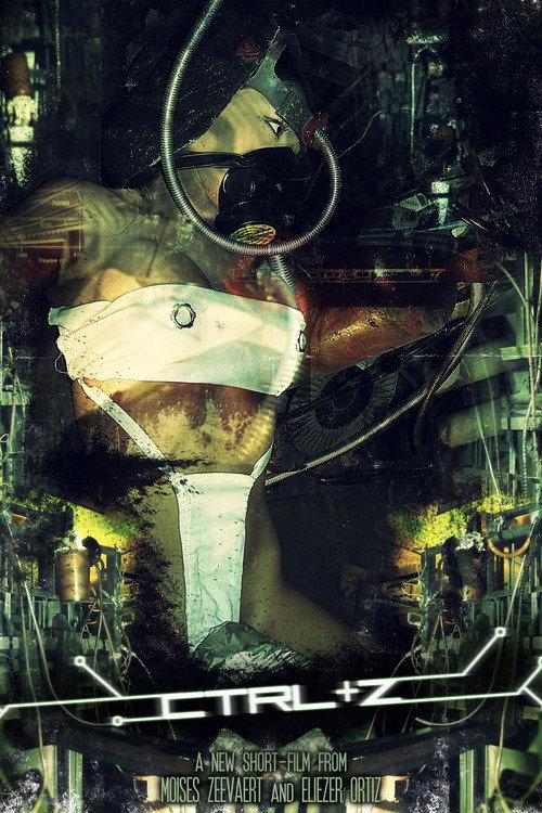 CTRL + Z 2009 official movie poster