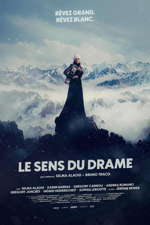 Le Sens du drame 2026 official movie poster