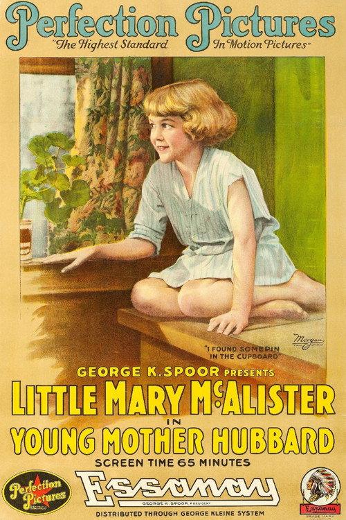 Young Mother Hubbard 1917 official movie poster