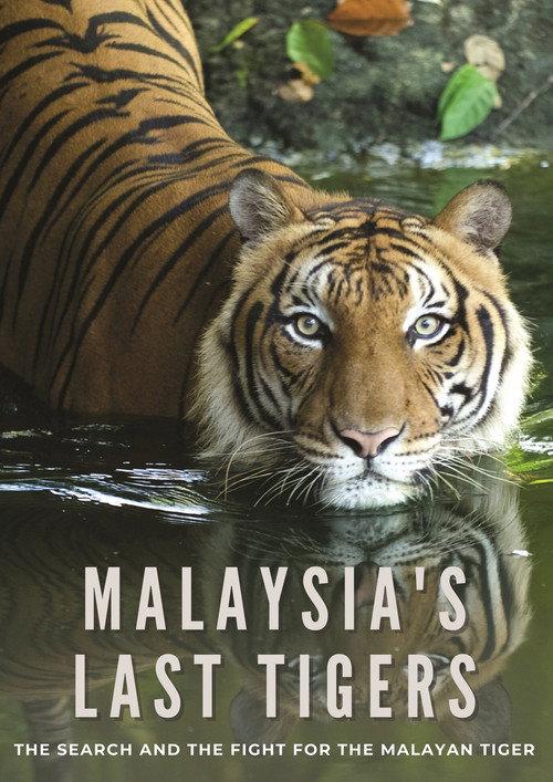 Malaysia's Last Tigers  official movie poster