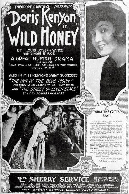 Wild Honey 1918 official movie poster