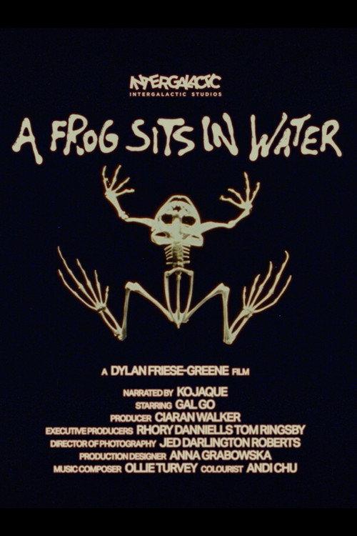 A Frog Sits In Water 2025 official movie poster