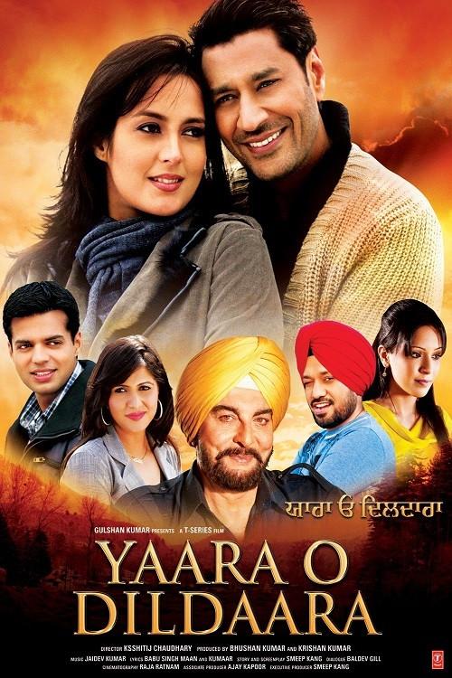 Yaara O Dildaara 2011 official movie poster