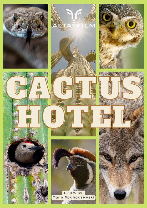 Cactus Hotel 2023 official movie poster