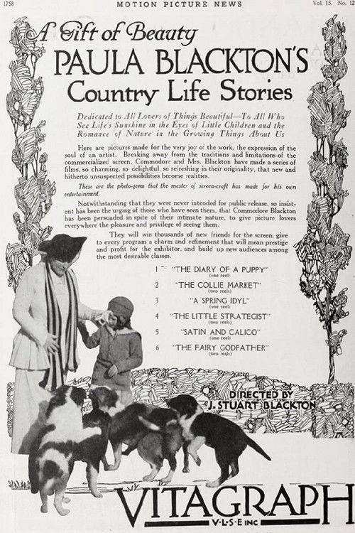 A Spring Idyll 1917 official movie poster