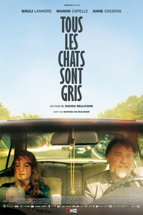 All Cats Are Grey 2014 official movie poster