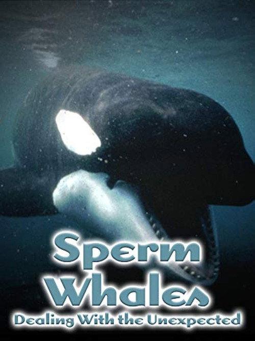 Sperm Whales: Dealing with the Unexpected 2005 official movie poster