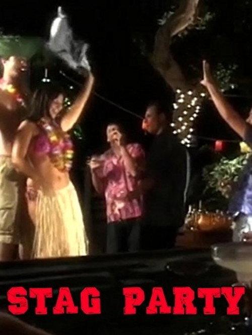 Stag Party 2004 official movie poster