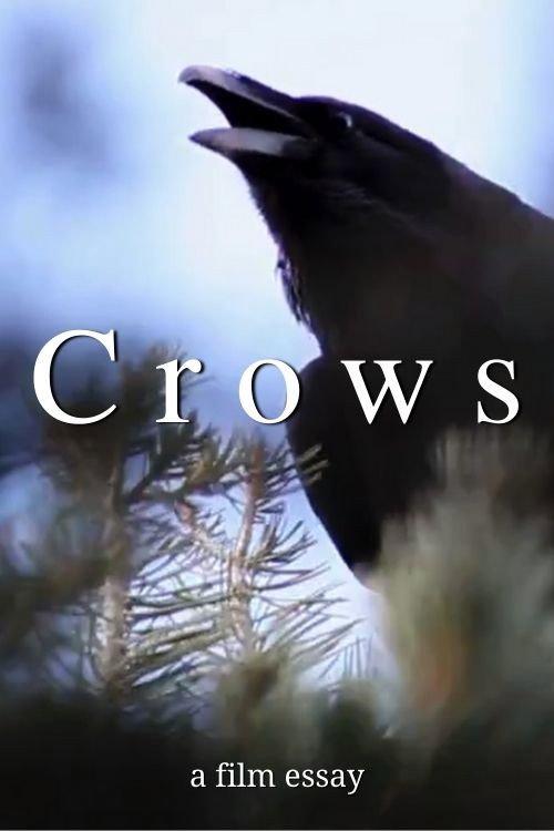 Crows - A film essay 2022 official movie poster