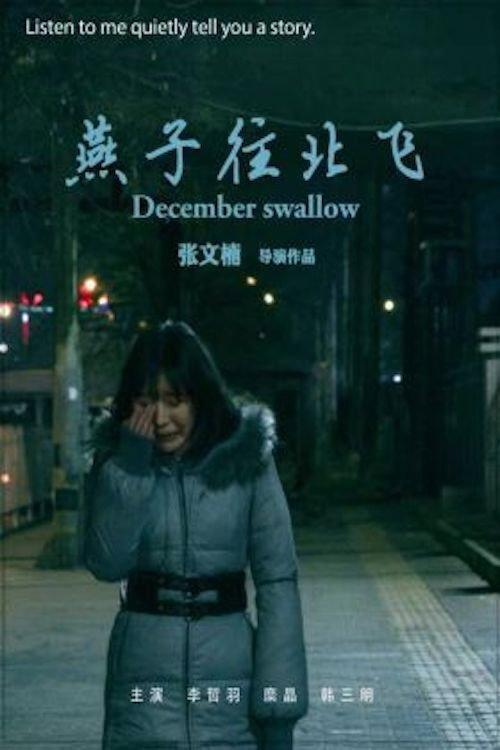 December Swallow 2019 official movie poster