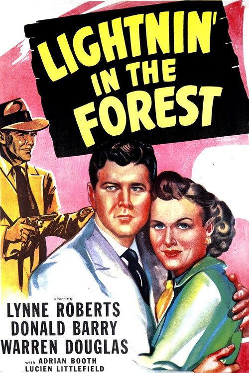 Lightnin' in the Forest 1948 official movie poster