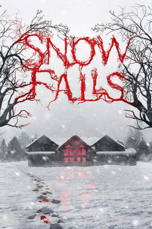Snow Falls 2023 official movie poster