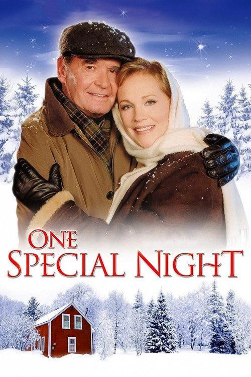 One Special Night 1999 official movie poster