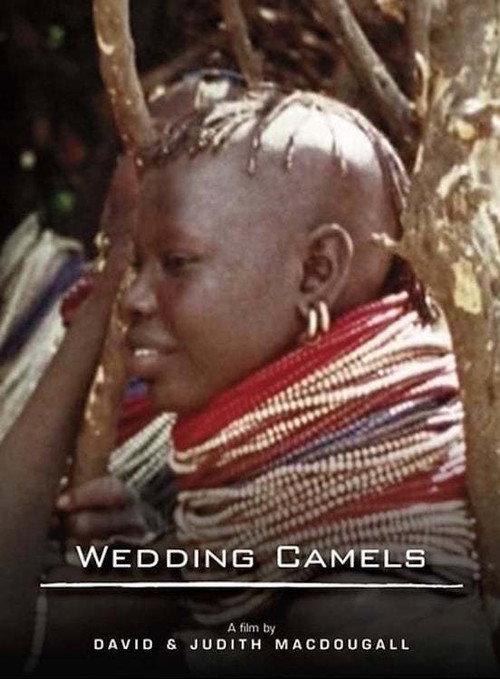 The Wedding Camels 1980 official movie poster