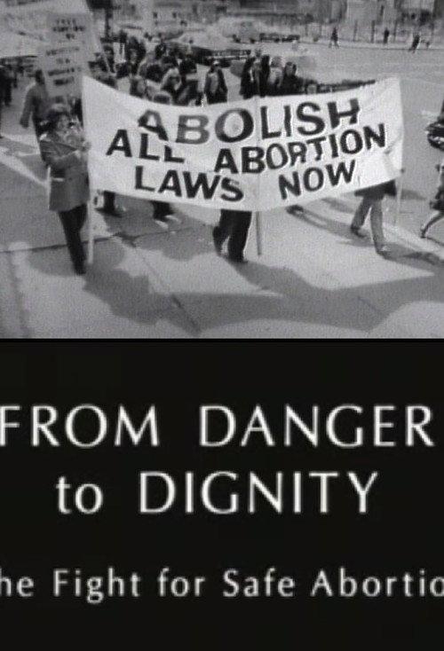 From Danger to Dignity: The Fight For Safe Abortion 1995 official movie poster