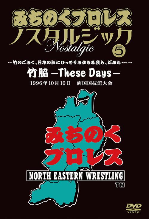 Michinoku Pro 3rd Anniversary: These Days 1996 official movie poster