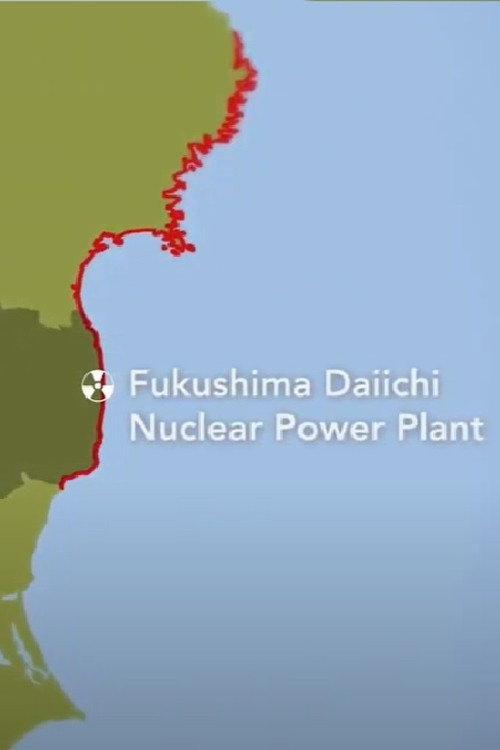 Living in Fukushima: Stories of Decontamination and Reconstruction 2013 official movie poster