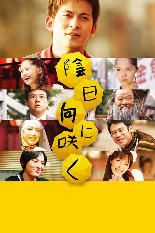 Flowers in the Shadow 2008 official movie poster