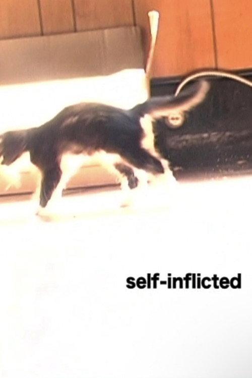 Self-Inflicted 2006 official movie poster