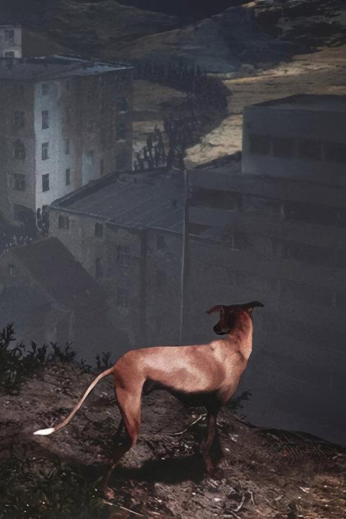 Songs for a Passerby 2023 official movie poster