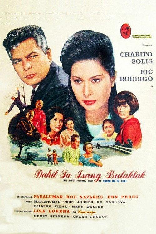 Because of a Flower 1967 official movie poster