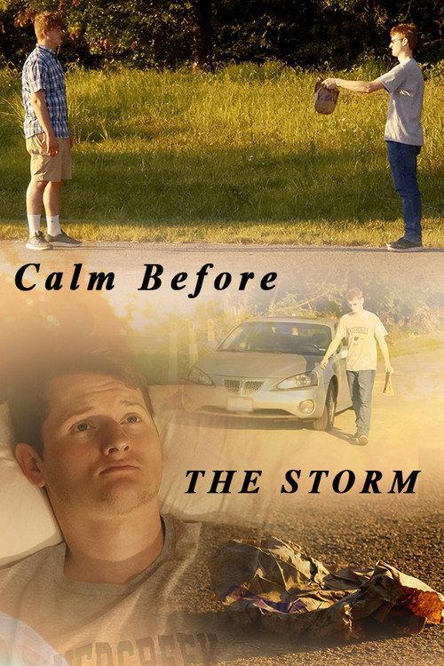 Calm Before The Storm 2025 official movie poster