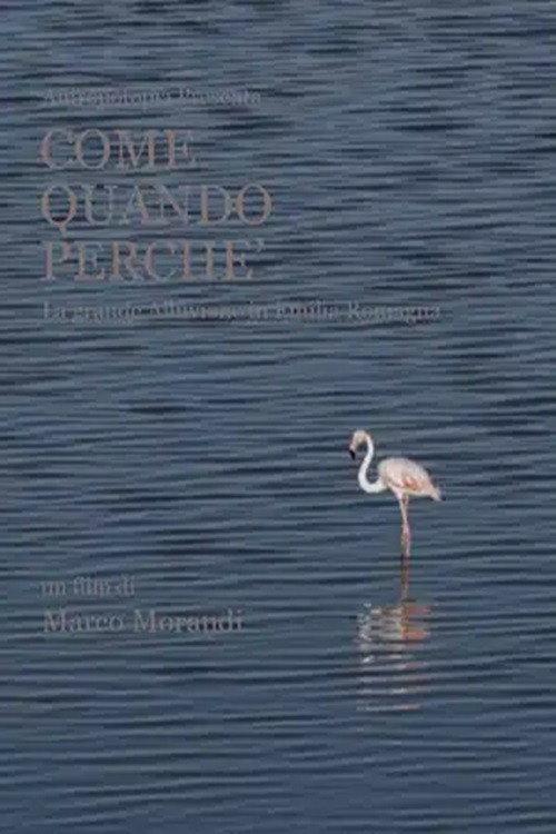 Come quando perché 2024 official movie poster