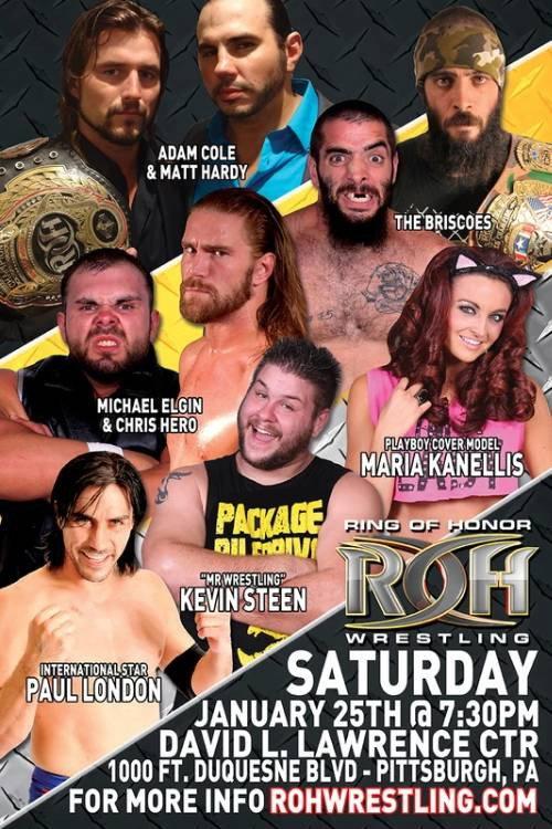 ROH: Wrestling's Finest 2014 official movie poster