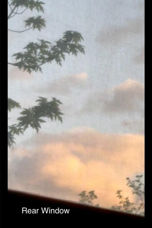 Rear Window 2025 official movie poster