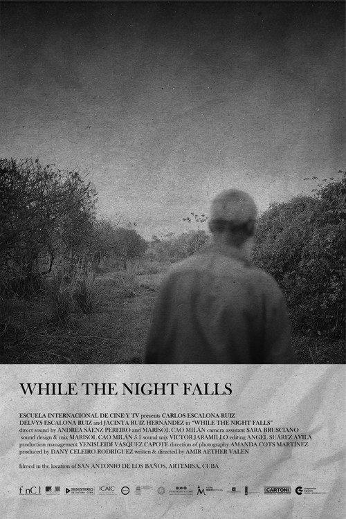 While The Night Falls 2023 official movie poster