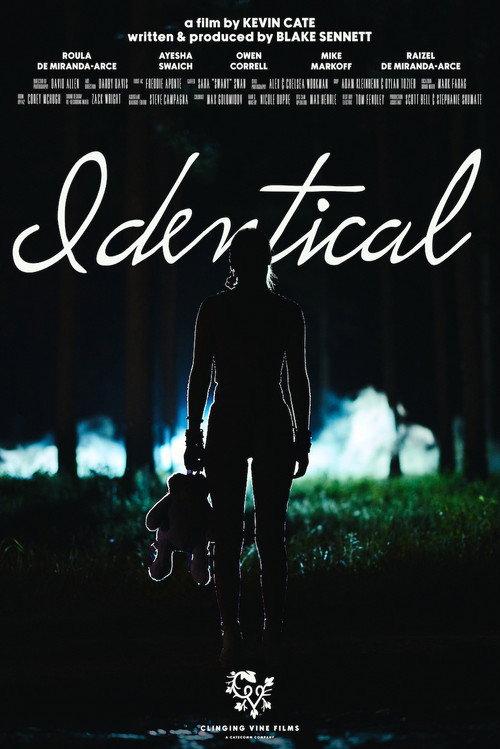 Identical 2024 official movie poster